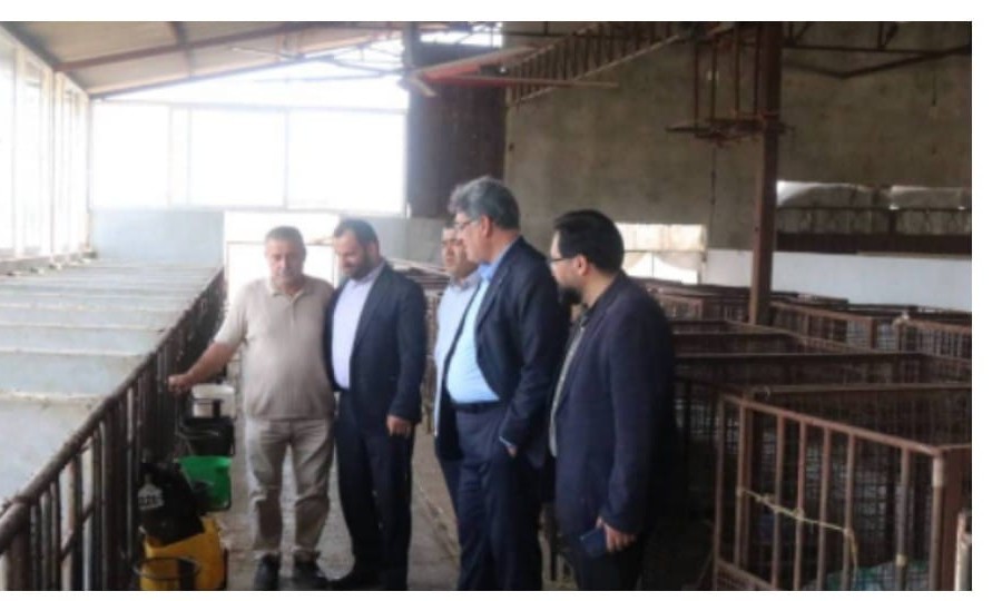 بازدید صمیمانه کارکنان پگاه گلستان از دامداران در روز جهانی شیر: تقدیری از تلاشگران و نگاهی امیدوارانه به آینده صنعت دامپروری استان