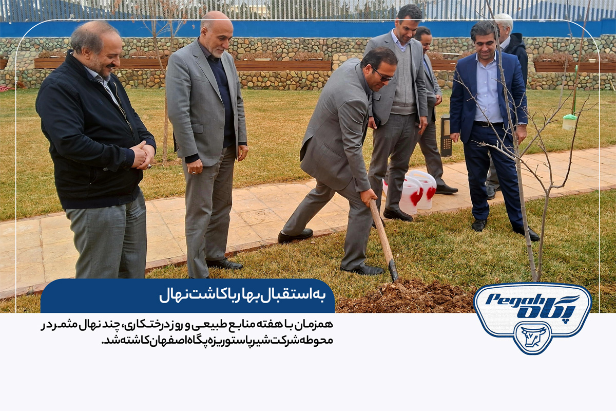به استقبال بهار با کاشت نهال