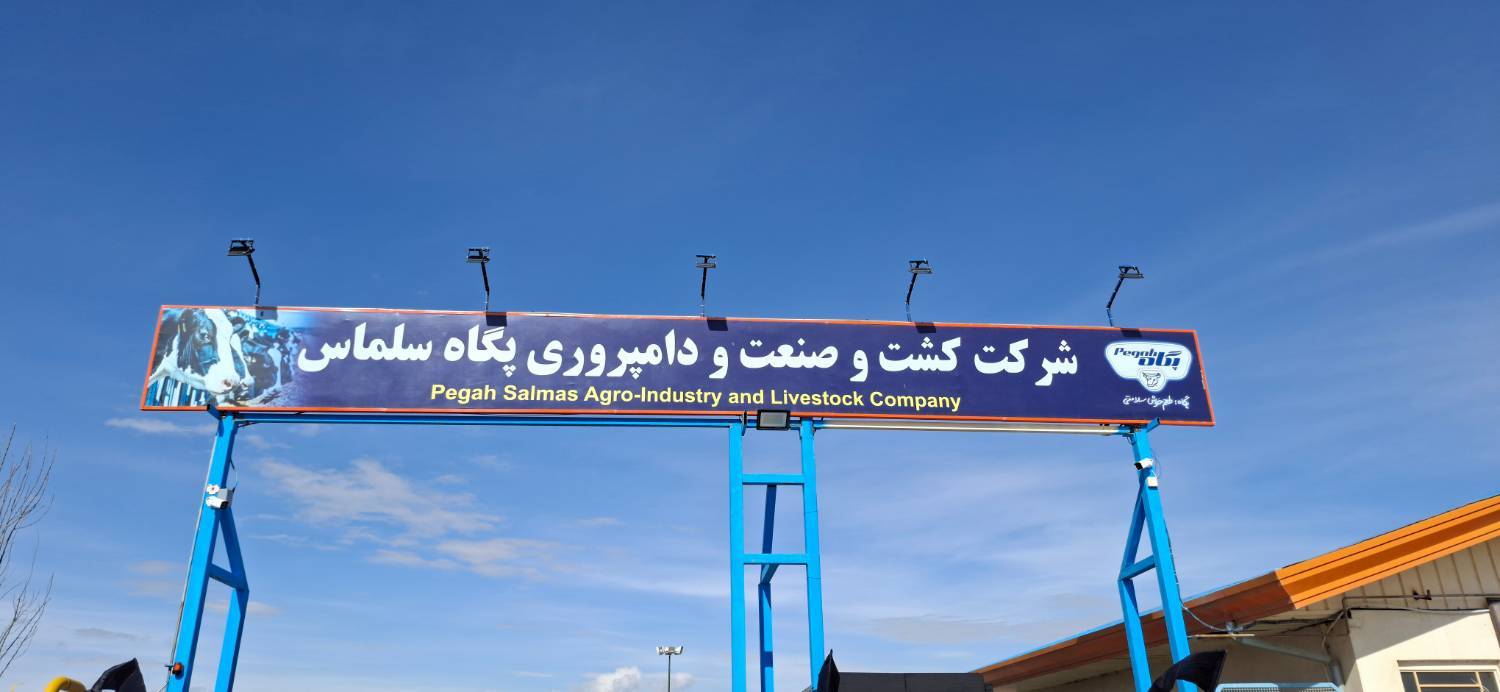 پگاه_از_چهارگوشه_ایران | بازدید میدانی مدیران امور شیرخام صنایع شیر ایران از کشت و صنعت پگاه سلماس: تمرکز بر پدافند غیرعامل و افزایش تولید