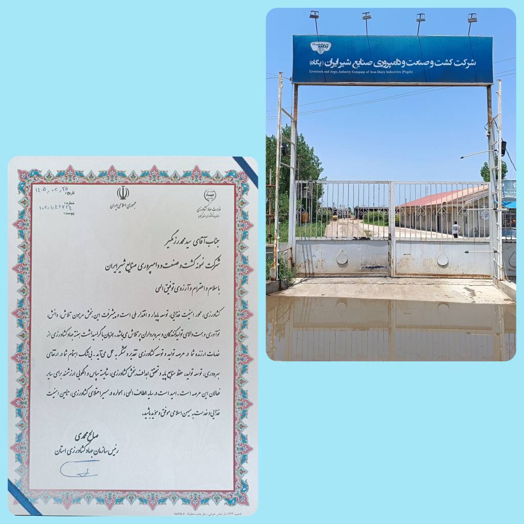 پگاه_از_چهارگوشه_ایران | انتخاب شرکت کشت و صنعت و دامپروری صنایع شیر ایران – گیلان به عنوان شرکت نمونه استان گیلان در هفته جهاد کشاورزی